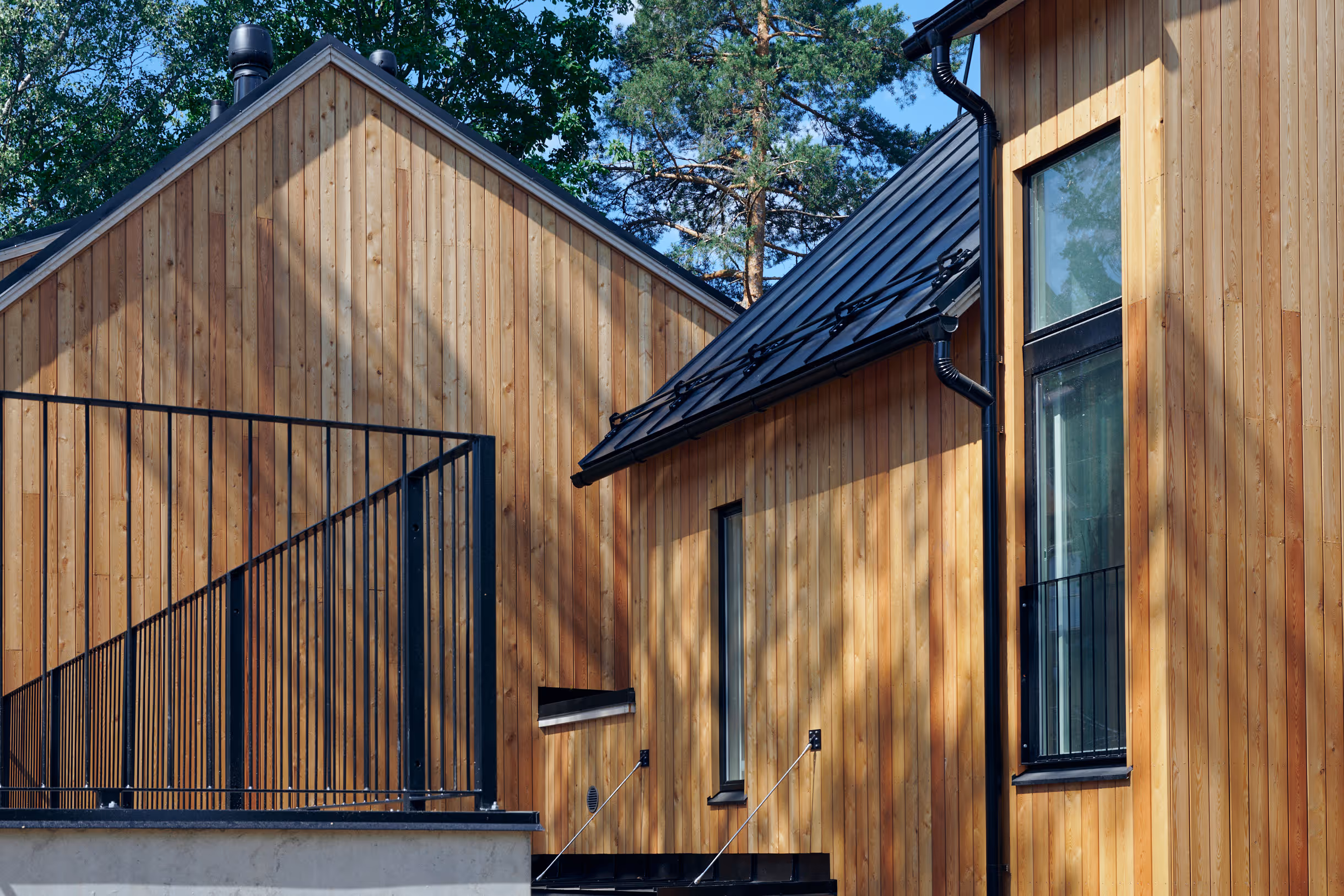 Paasitien kolmoset
