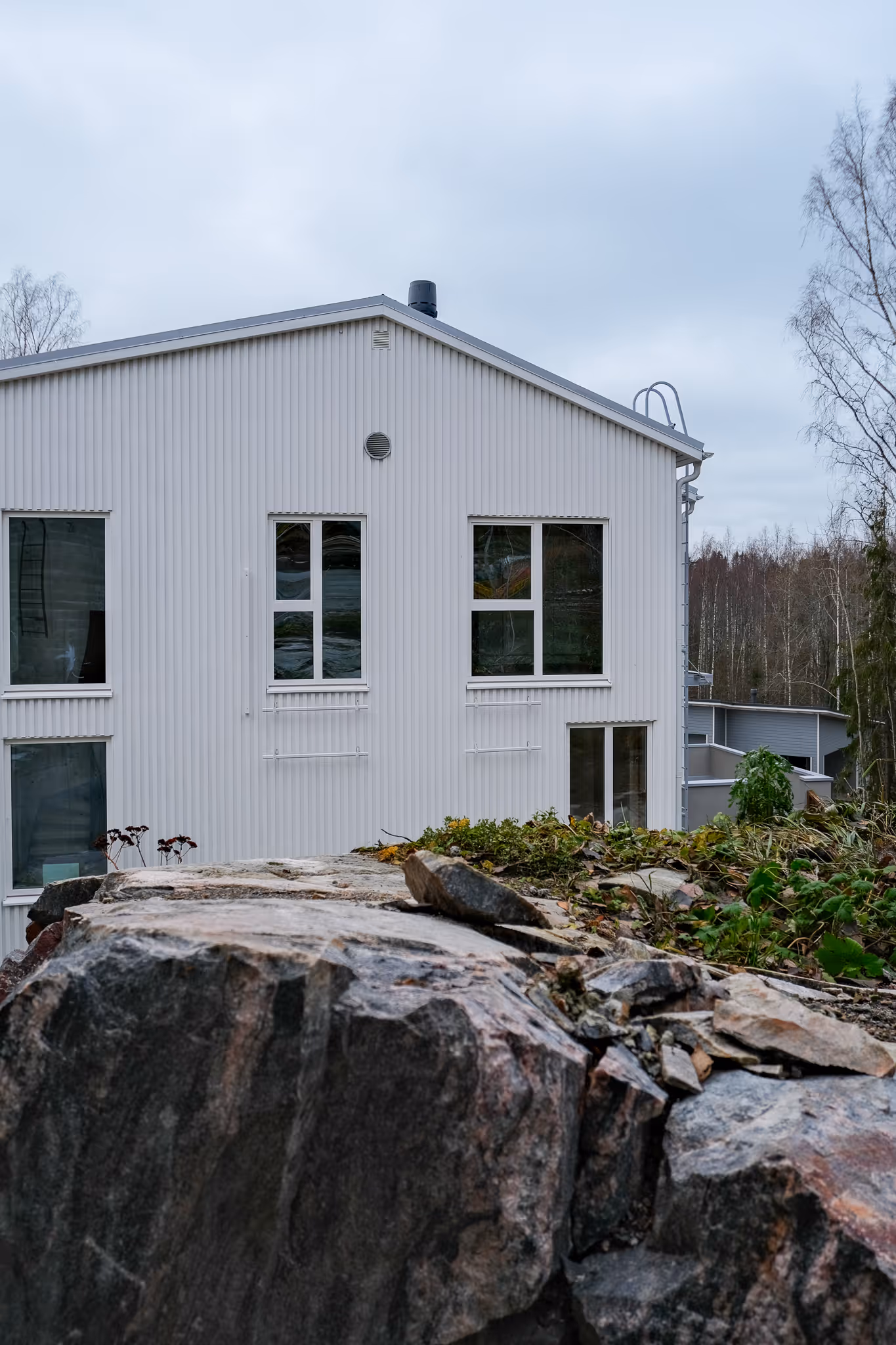 Harmaalaakson hopea